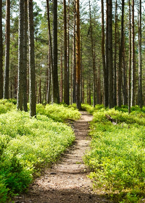 Franck-Guilbaud-psychanalyste-diplomes