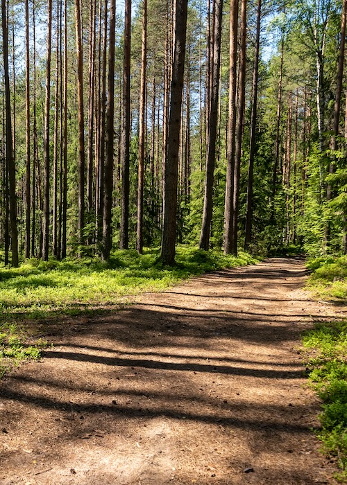 Franck-Guilbaud-psychanalyste-formations